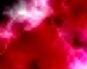 pink punk punk home page