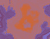 was ist deutsch punk register business name az